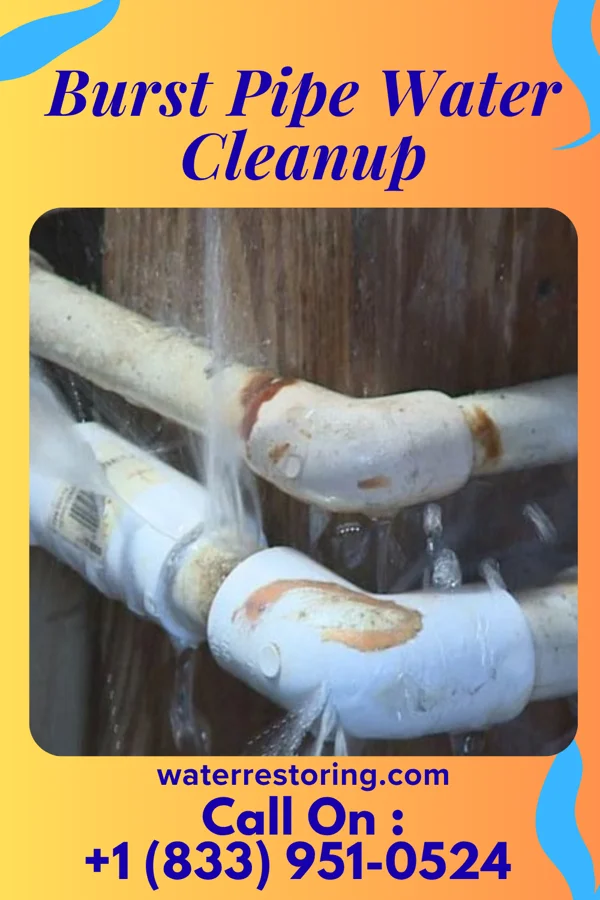 Burst Pipe Water Cleanup in Essexville, MI