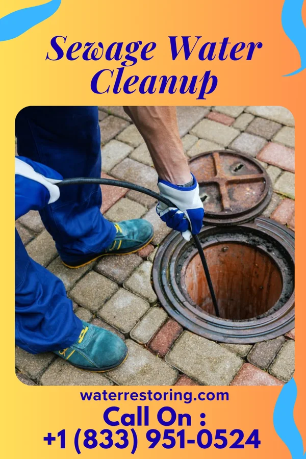 Sewage Water Cleanup in Essexville, MI